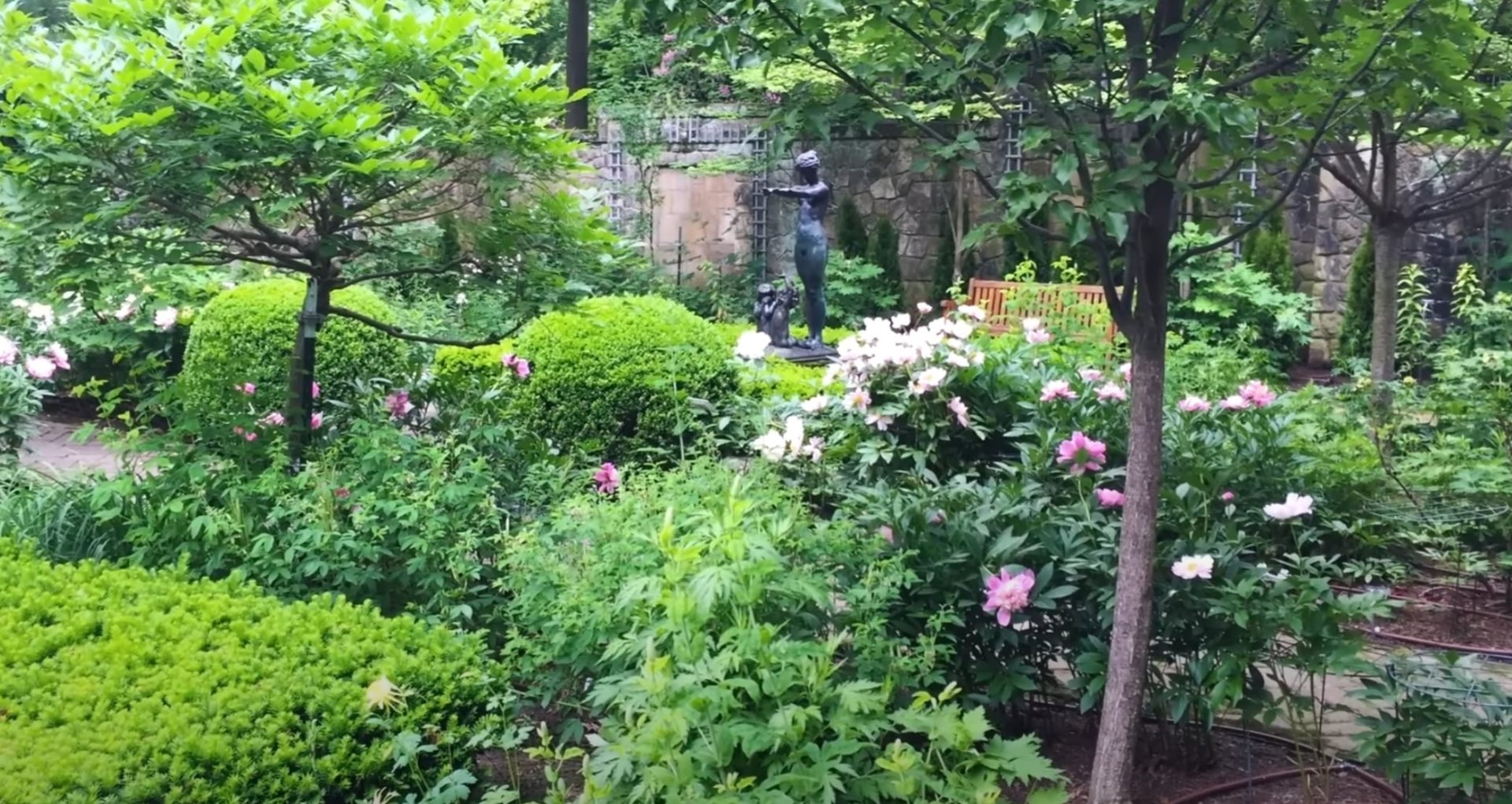 Lush garden with flowering shrubs and natural stone features